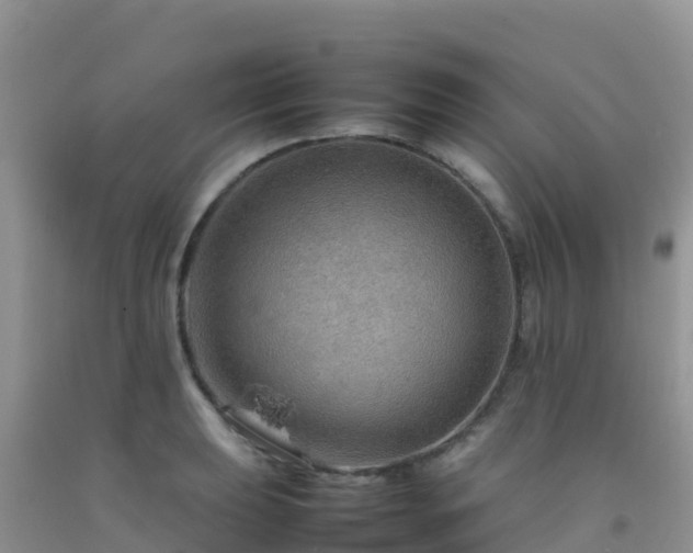 X0000092071039200709191159