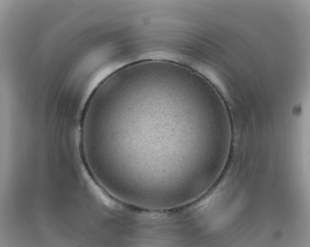 X0000092071040200709191159