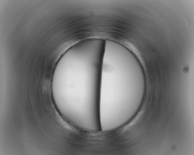 X0000092071041200709191159