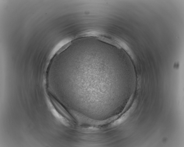 X0000092071042200709191159