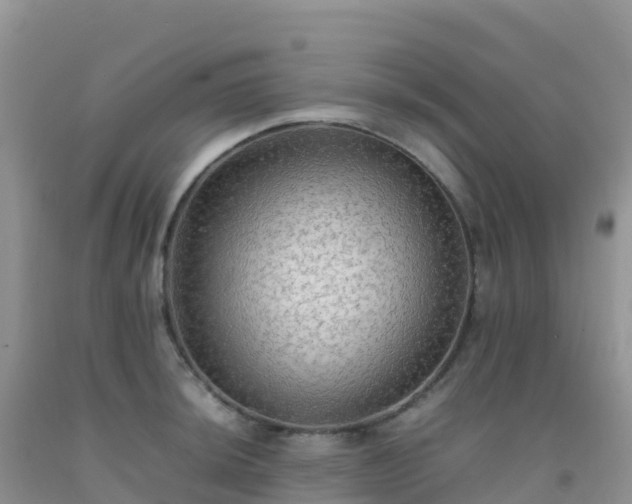 X0000092071044200709191159