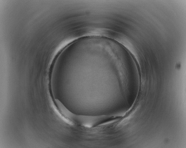 X0000092071045200709191159