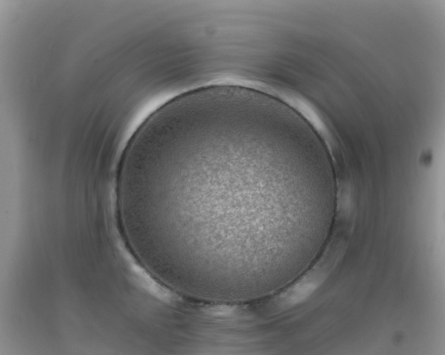 X0000092071048200709191159