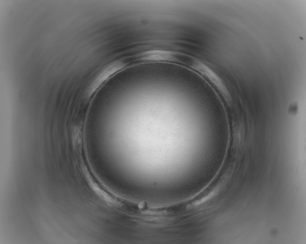 X0000092071049200709191159