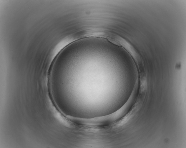 X0000092071050200709191159