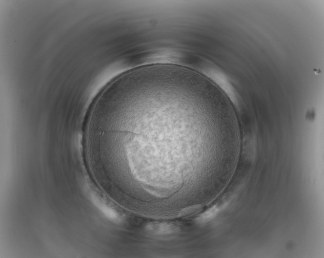 X0000092071051200709191159