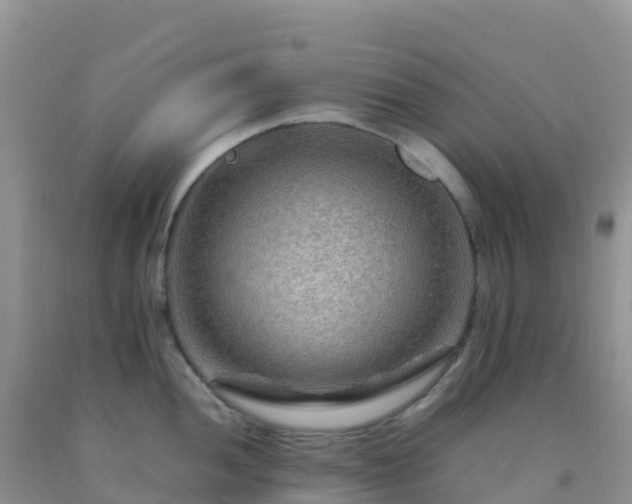 X0000092071052200709191159