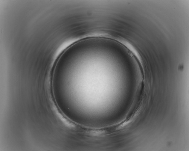 X0000092071053200709191159