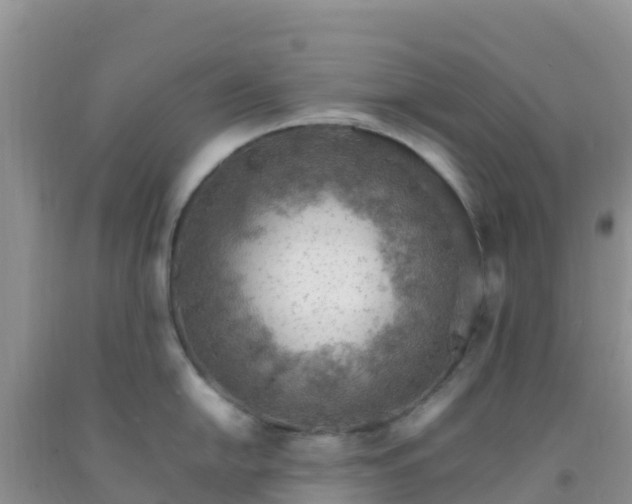 X0000092071054200709191159