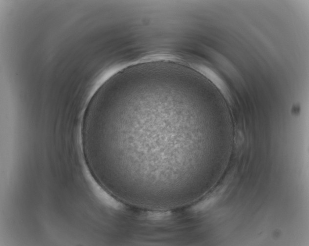 X0000092071055200709191159