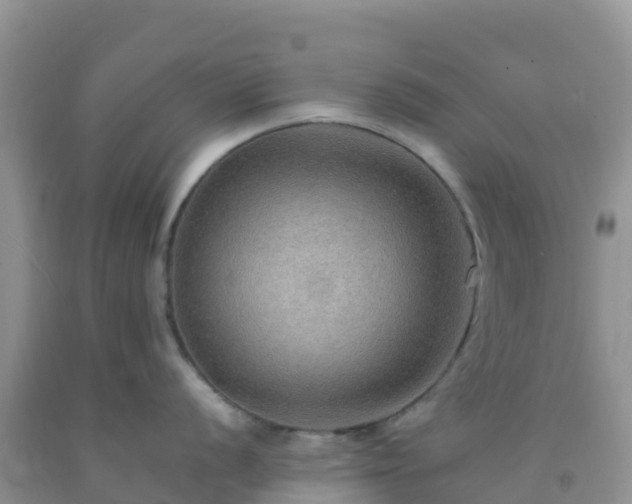 X0000092071056200709191159