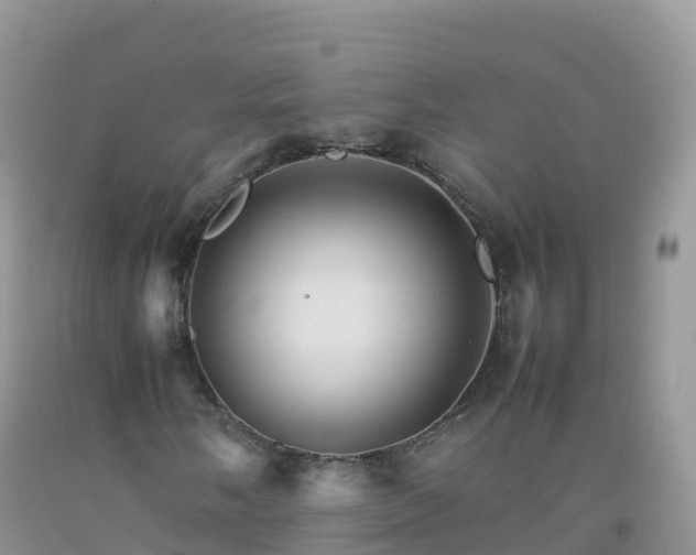 X0000092071058200709191159
