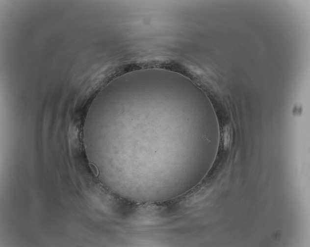 X0000092071059200709191159