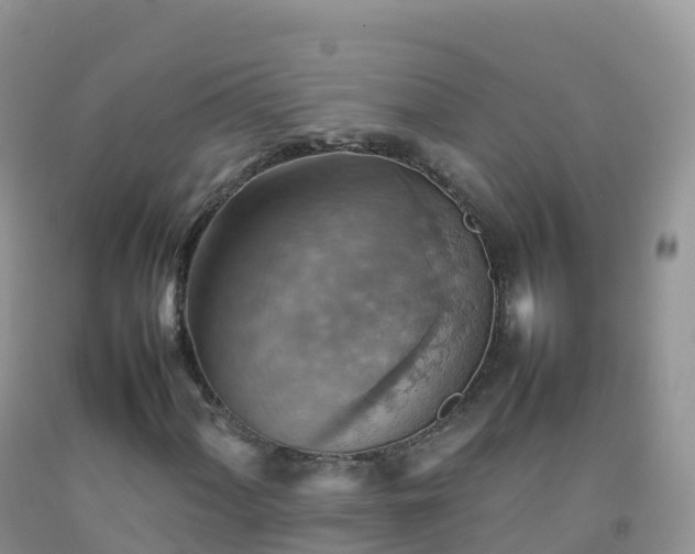 X0000092071060200709191159