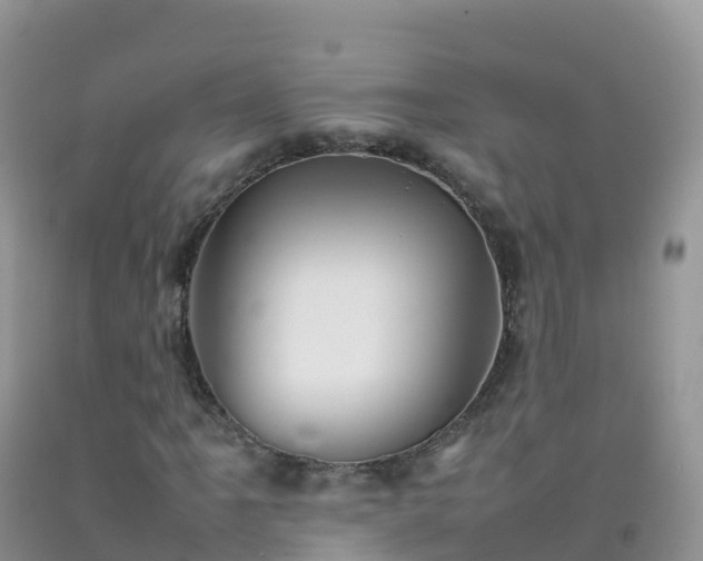 X0000092071061200709191159