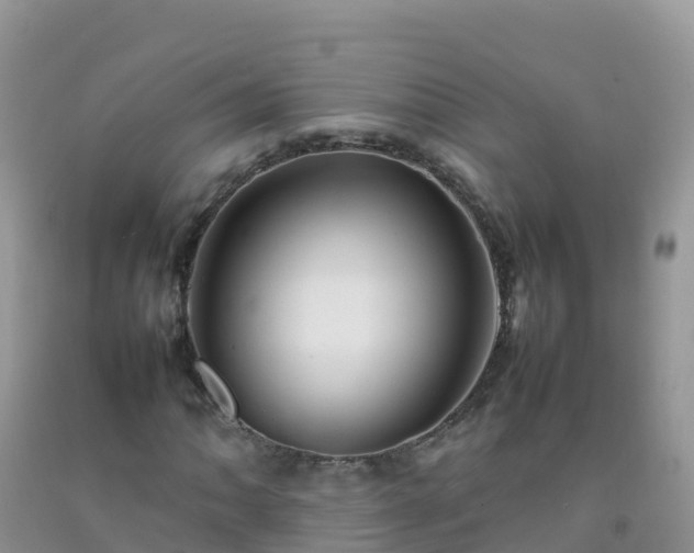 X0000092071062200709191159