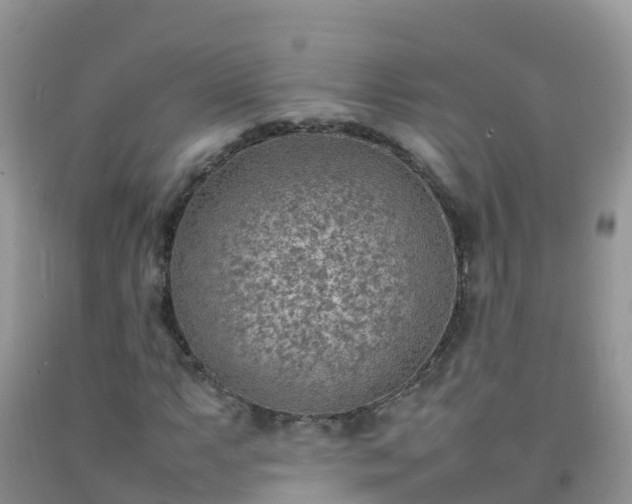 X0000092071063200709191159