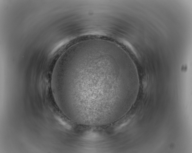 X0000092071064200709191159