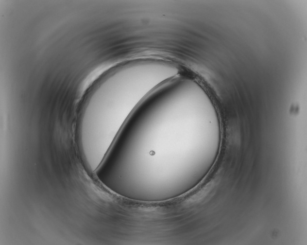 X0000092071066200709191159