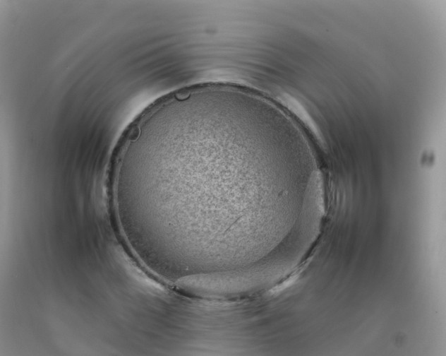 X0000092071068200709191159