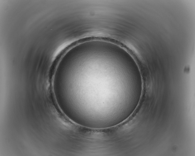 X0000092071070200709191158