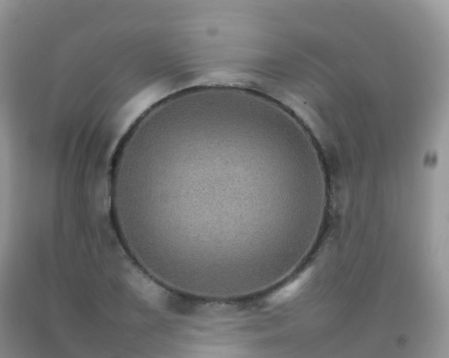 X0000092071075200709191158
