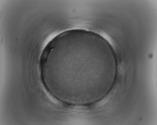 X0000092071077200709191158