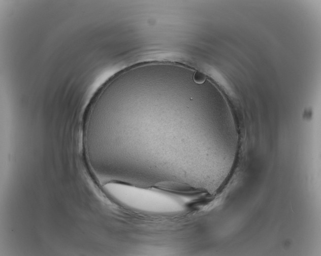 X0000092071079200709191158