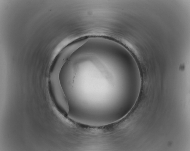 X0000092071085200709191158
