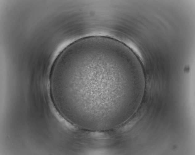 X0000092071088200709191158