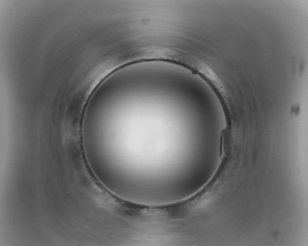 X0000092071089200709191158