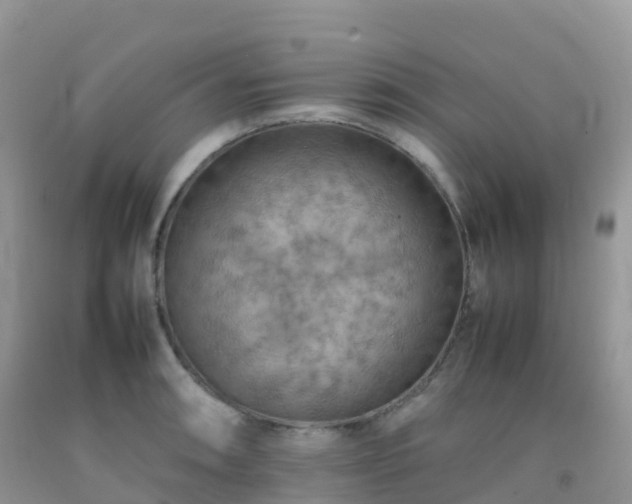 X0000092071090200709191158