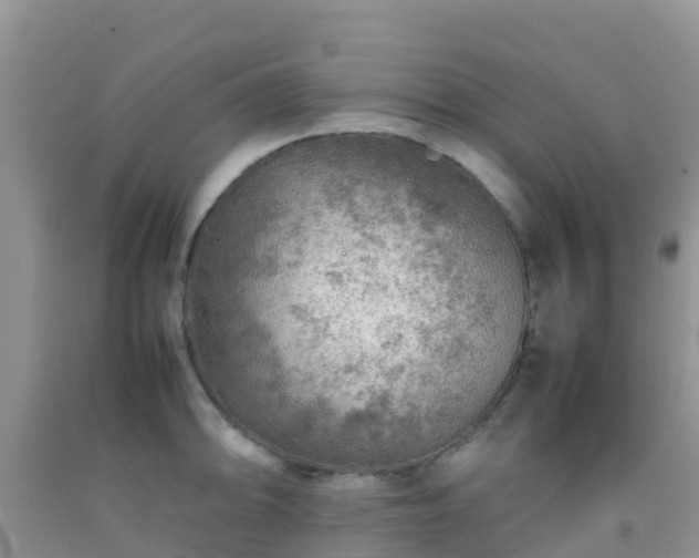 X0000092071094200709191158