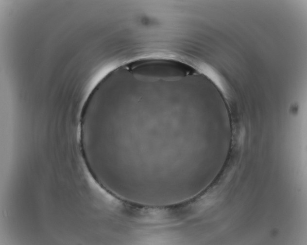 X0000092071095200709191158