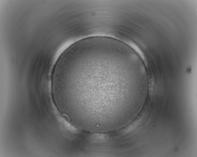 X0000092071096200709191158