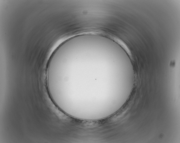 X0000092071099200709191158