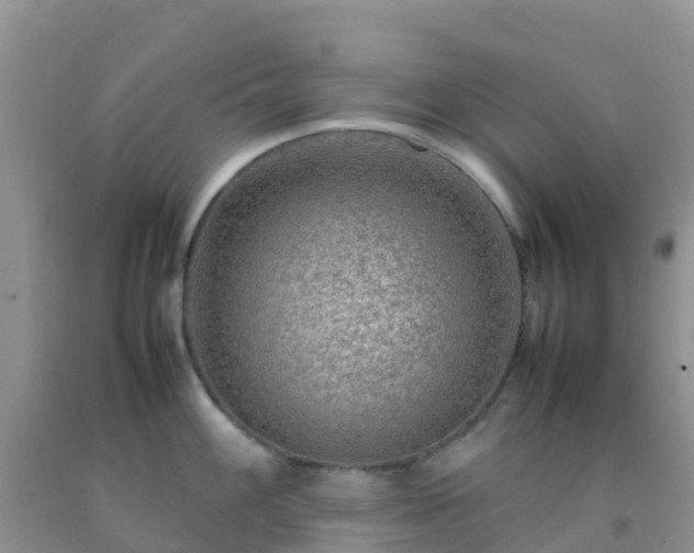 X0000092071100200709191158