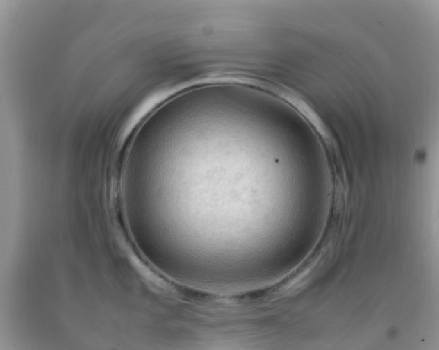 X0000092071101200709191158