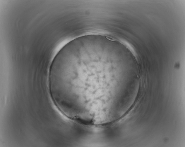 X0000092071103200709191158