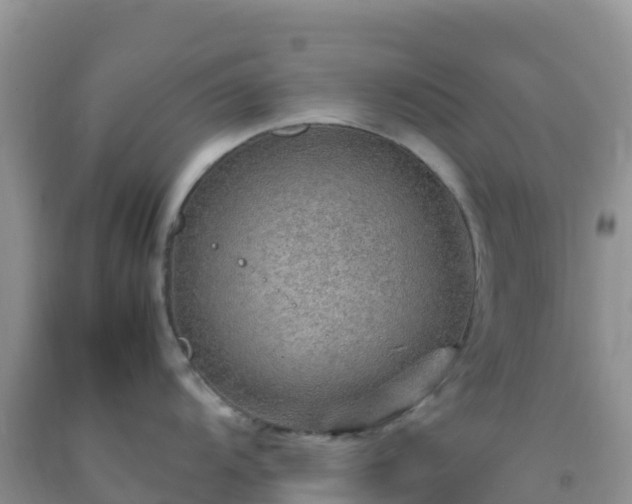 X0000092071104200709191158