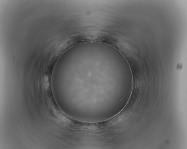 X0000092071106200709191157