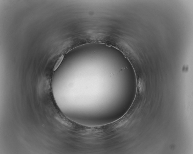X0000092071107200709191157