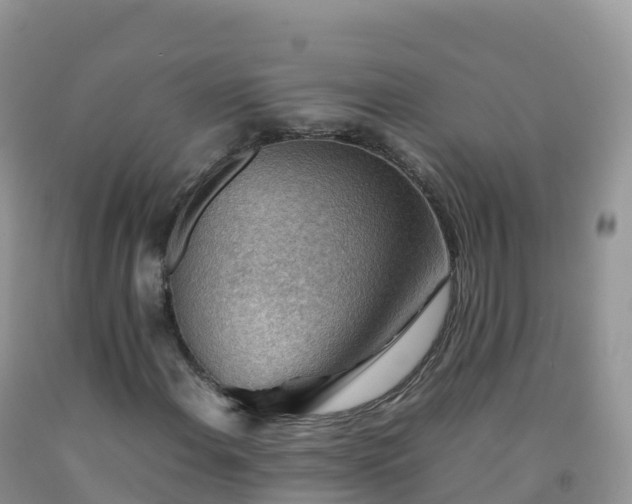 X0000092071108200709191157