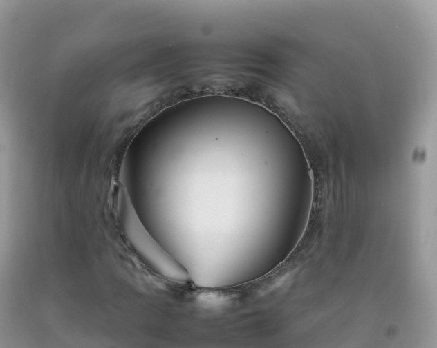 X0000092071109200709191157