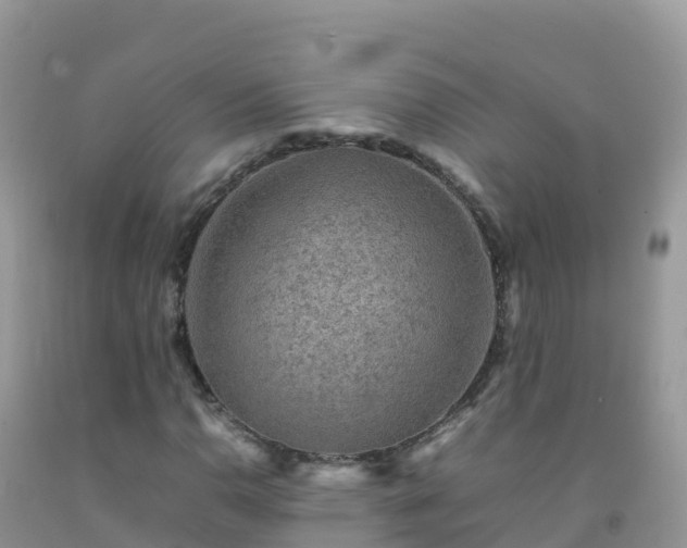 X0000092071110200709191157