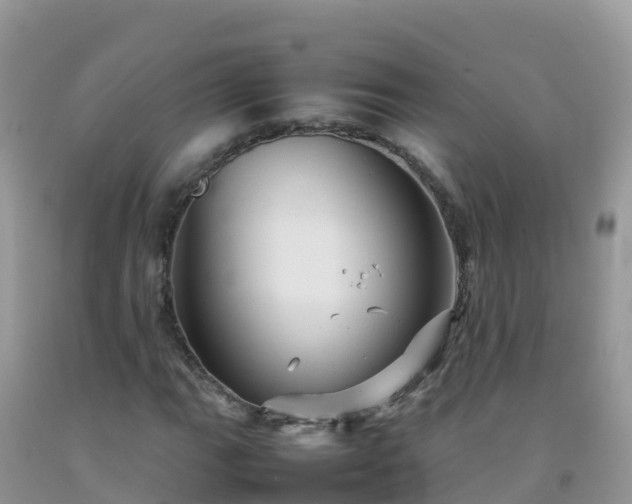 X0000092071111200709191157