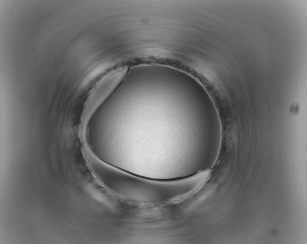 X0000092071112200709191157
