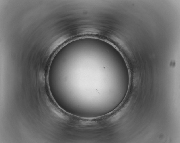 X0000092071113200709191157