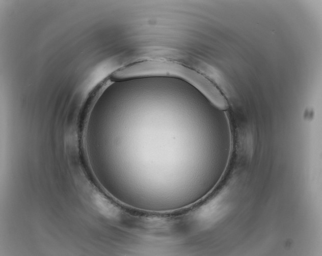 X0000092071114200709191157