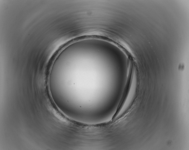 X0000092071116200709191157